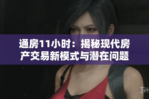 通房11小时：揭秘现代房产交易新模式与潜在问题