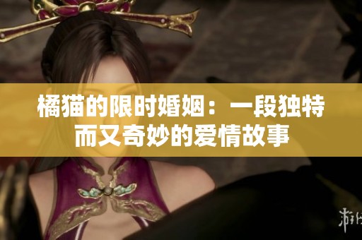 橘猫的限时婚姻：一段独特而又奇妙的爱情故事