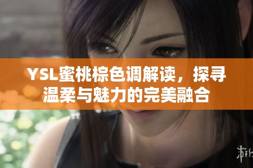 YSL蜜桃棕色调解读，探寻温柔与魅力的完美融合