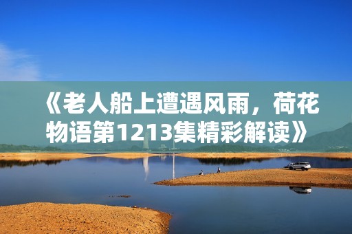 《老人船上遭遇风雨，荷花物语第1213集精彩解读》