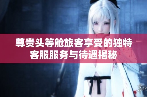 尊贵头等舱旅客享受的独特客服服务与待遇揭秘