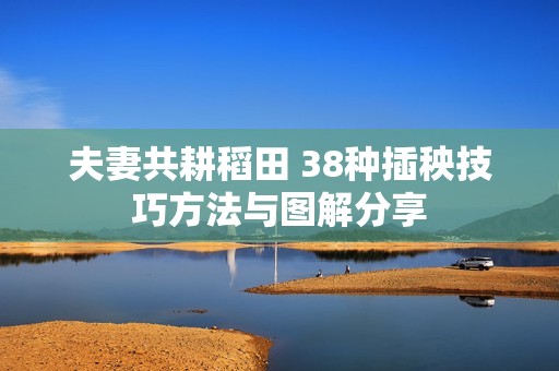 夫妻共耕稻田 38种插秧技巧方法与图解分享