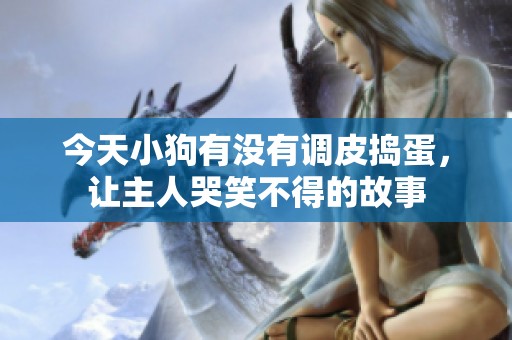 今天小狗有没有调皮捣蛋，让主人哭笑不得的故事