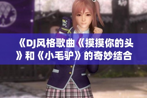 《DJ风格歌曲《摸摸你的头》和《小毛驴》的奇妙结合》