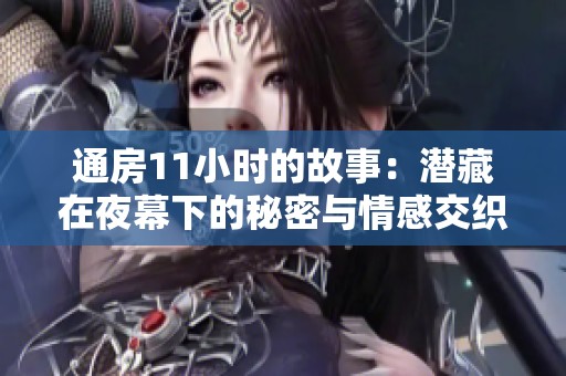 通房11小时的故事：潜藏在夜幕下的秘密与情感交织