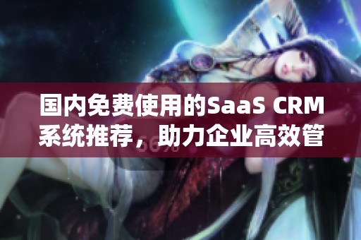 国内免费使用的SaaS CRM系统推荐，助力企业高效管理客户关系