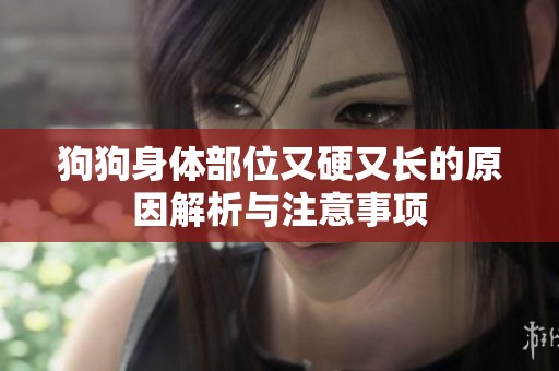 狗狗身体部位又硬又长的原因解析与注意事项