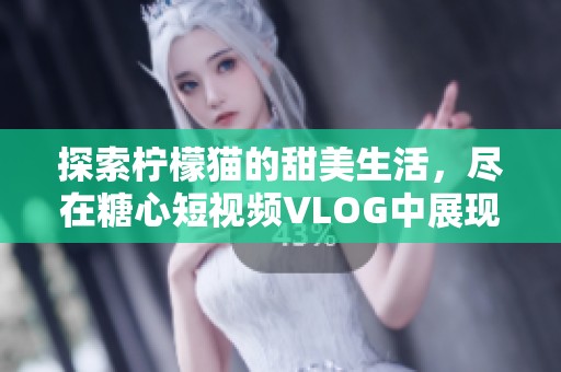 探索柠檬猫的甜美生活，尽在糖心短视频VLOG中展现 