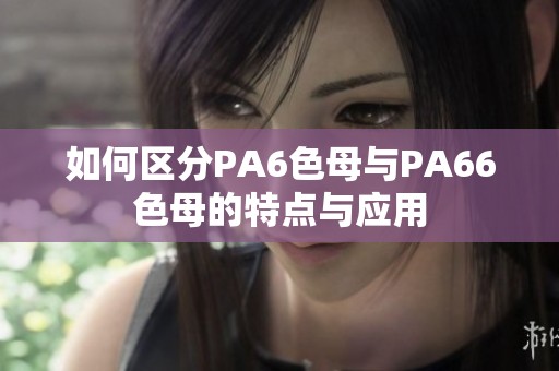 如何区分PA6色母与PA66色母的特点与应用