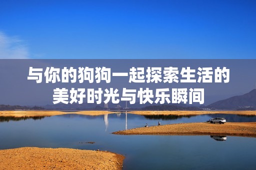 与你的狗狗一起探索生活的美好时光与快乐瞬间