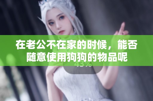 在老公不在家的时候，能否随意使用狗狗的物品呢