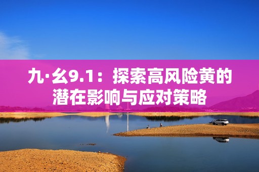 九·幺9.1：探索高风险黄的潜在影响与应对策略