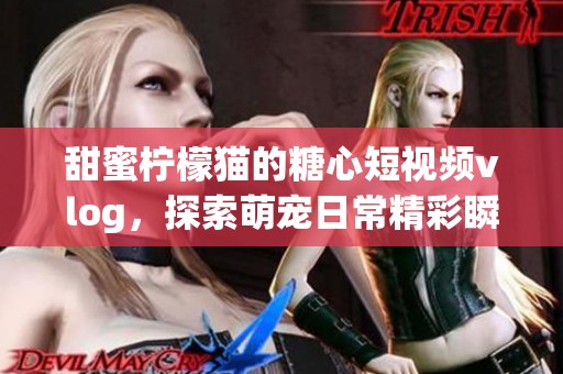 甜蜜柠檬猫的糖心短视频vlog，探索萌宠日常精彩瞬间