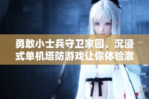 勇敢小士兵守卫家园，沉浸式单机塔防游戏让你体验激烈大战与策略对决