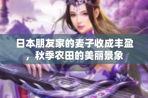 日本朋友家的麦子收成丰盈，秋季农田的美丽景象