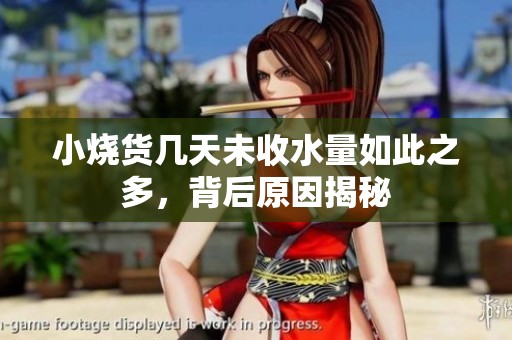 小烧货几天未收水量如此之多，背后原因揭秘
