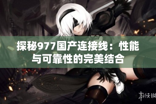 探秘977国产连接线：性能与可靠性的完美结合
