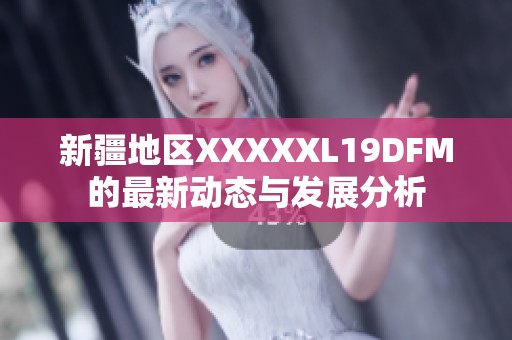 新疆地区XXXXXL19DFM的最新动态与发展分析