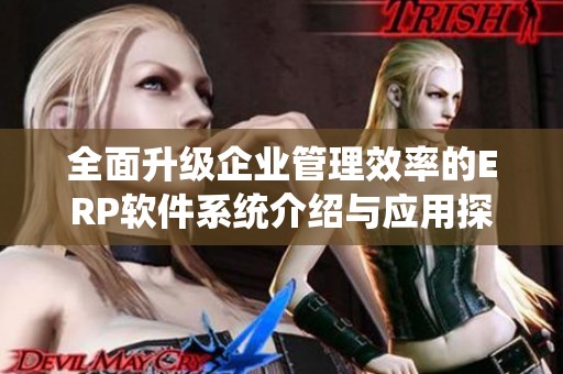 全面升级企业管理效率的ERP软件系统介绍与应用探讨