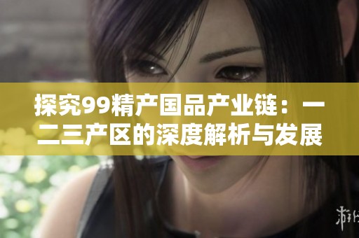 探究99精产国品产业链：一二三产区的深度解析与发展趋势