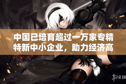 中国已培育超过一万家专精特新中小企业，助力经济高质量发展与创新升级