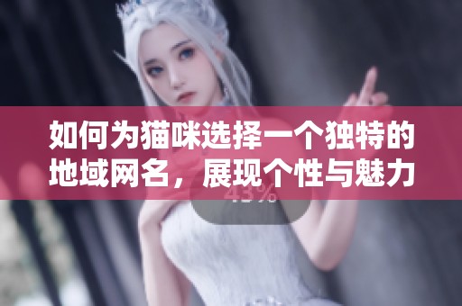 如何为猫咪选择一个独特的地域网名，展现个性与魅力