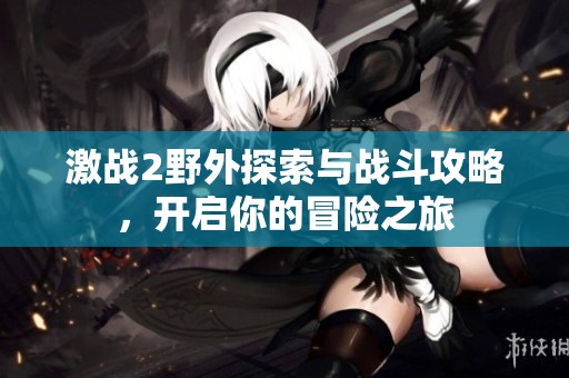 激战2野外探索与战斗攻略，开启你的冒险之旅