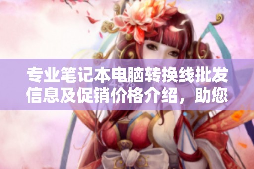 专业笔记本电脑转换线批发信息及促销价格介绍，助您轻松选购适合的产品