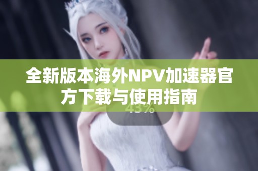 全新版本海外NPV加速器官方下载与使用指南