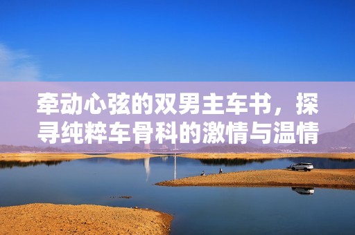 牵动心弦的双男主车书，探寻纯粹车骨科的激情与温情