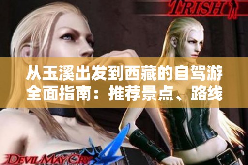 从玉溪出发到西藏的自驾游全面指南：推荐景点、路线规划及行车安全提示