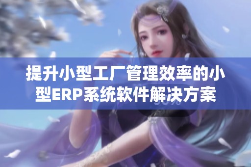 提升小型工厂管理效率的小型ERP系统软件解决方案