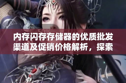 内存闪存存储器的优质批发渠道及促销价格解析，探索产地货源优势