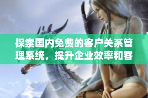 探索国内免费的客户关系管理系统，提升企业效率和客户体验