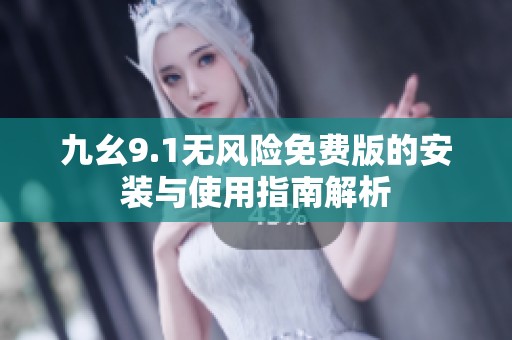 九幺9.1无风险免费版的安装与使用指南解析