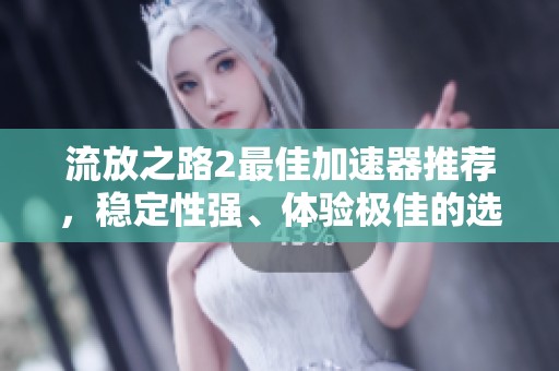 流放之路2最佳加速器推荐，稳定性强、体验极佳的选择详解