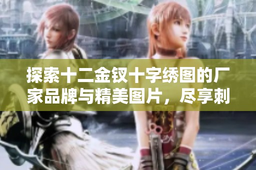 探索十二金钗十字绣图的厂家品牌与精美图片，尽享刺绣艺术之美与文化魅力
