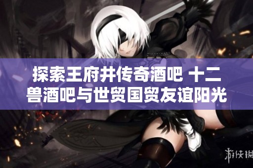 探索王府井传奇酒吧 十二兽酒吧与世贸国贸友谊阳光城的独特魅力与精彩夜生活