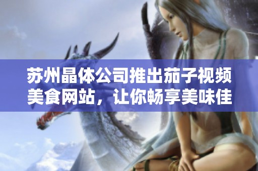 苏州晶体公司推出茄子视频美食网站，让你畅享美味佳肴