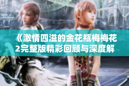 《激情四溢的金花瓶梅梅花2完整版精彩回顾与深度解析》
