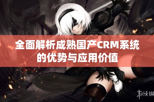 全面解析成熟国产CRM系统的优势与应用价值