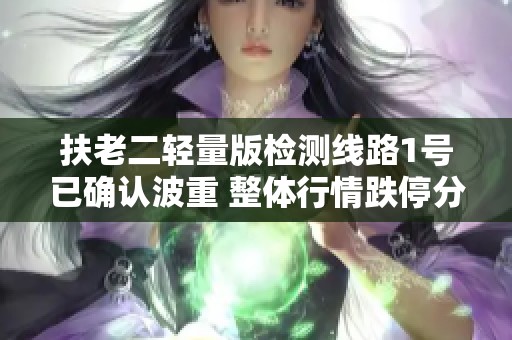 扶老二轻量版检测线路1号已确认波重 整体行情跌停分析和后续走势解析