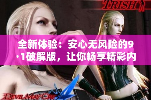 全新体验：安心无风险的9·1破解版，让你畅享精彩内容