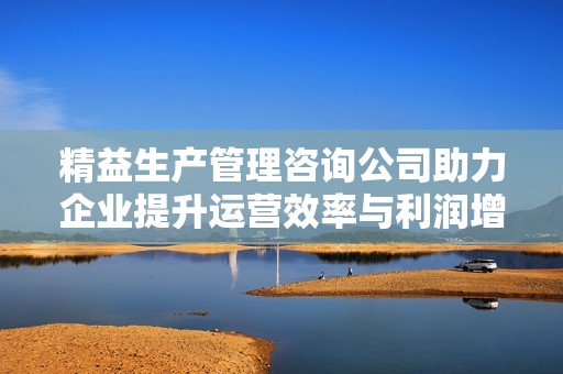 精益生产管理咨询公司助力企业提升运营效率与利润增长
