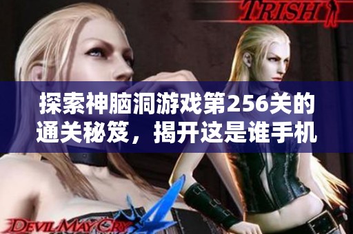 探索神脑洞游戏第256关的通关秘笈，揭开这是谁手机中的谜题真相