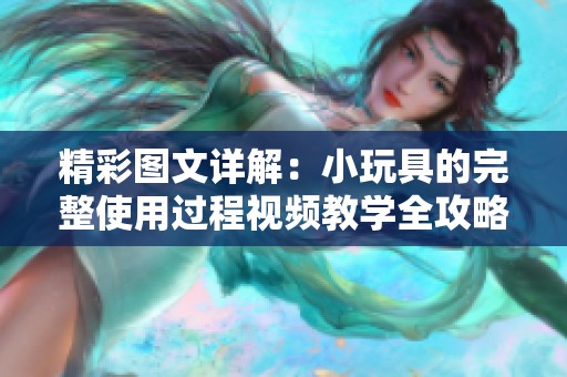 精彩图文详解：小玩具的完整使用过程视频教学全攻略