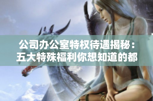 公司办公室特权待遇揭秘：五大特殊福利你想知道的都有