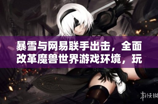 暴雪与网易联手出击，全面改革魔兽世界游戏环境，玩家体验将迎来重大改变