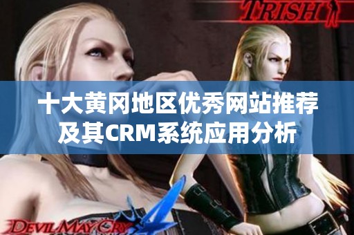 十大黄冈地区优秀网站推荐及其CRM系统应用分析