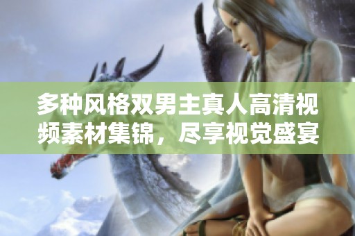 多种风格双男主真人高清视频素材集锦，尽享视觉盛宴